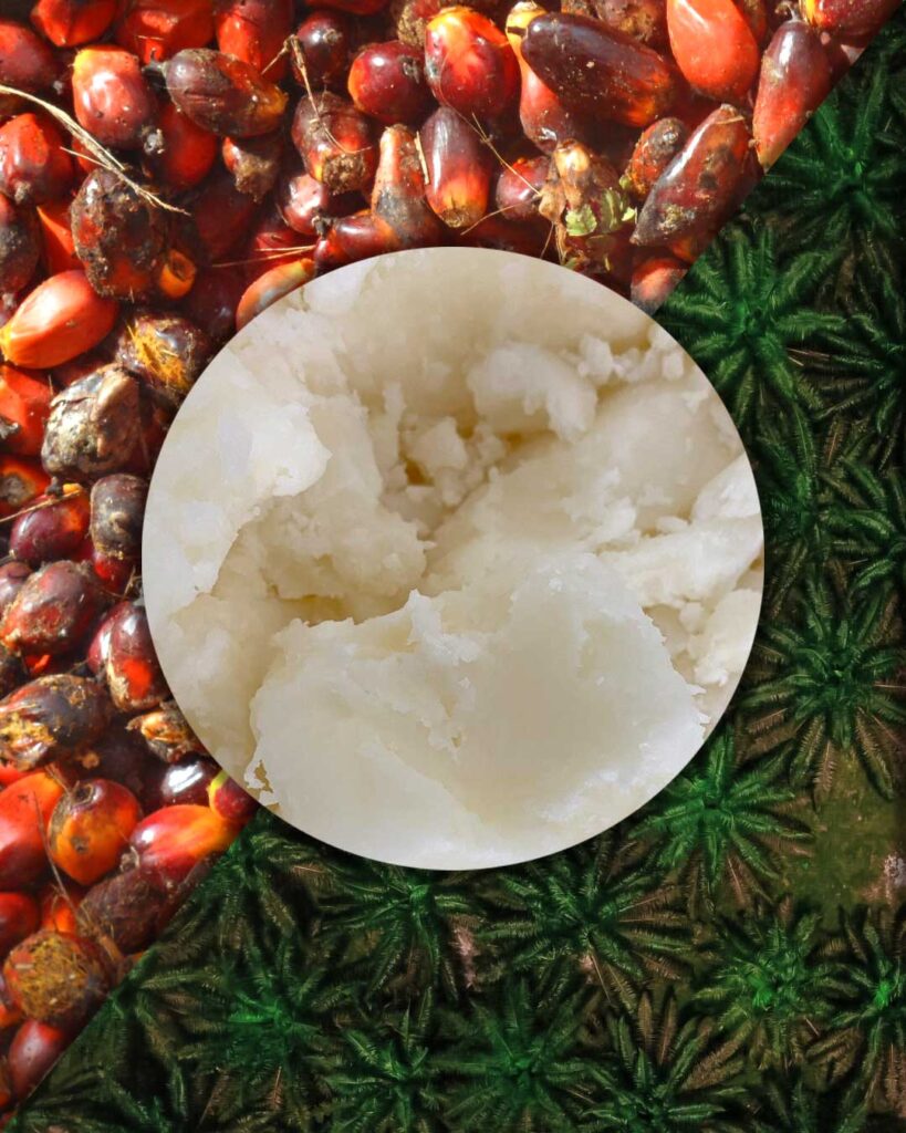 Is palm oil bad for you? Nature's Hippie answers your questions.